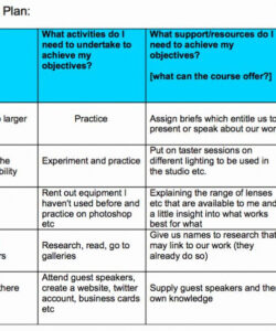 Continuing Professional Development Portfolio Template Pdf Sample