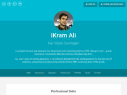 Printable Software Developer Portfolio Website Template  Sample