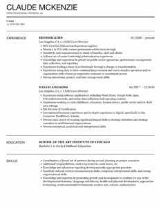 Free  Child Care Director Portfolio Templates