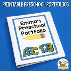 Free  Classroom Management Portfolio Template Pdf