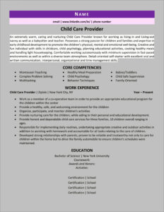 Free Editable Child Care Director Portfolio Templates Doc Example