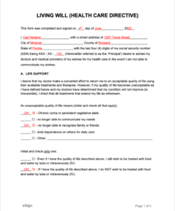 free living will forms  pdf  word louisiana living will template doc