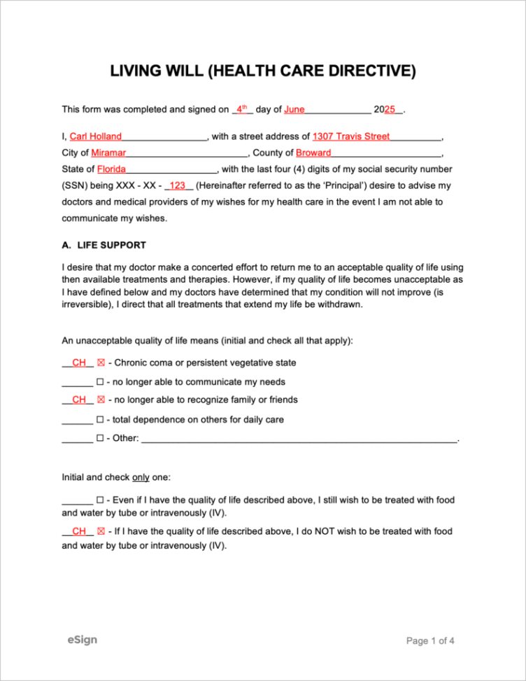 free living will forms  pdf  word louisiana living will template doc