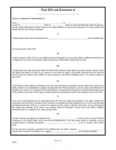 sample 35 free blank last will and testament forms word  pdf ohio last will and testament template excel