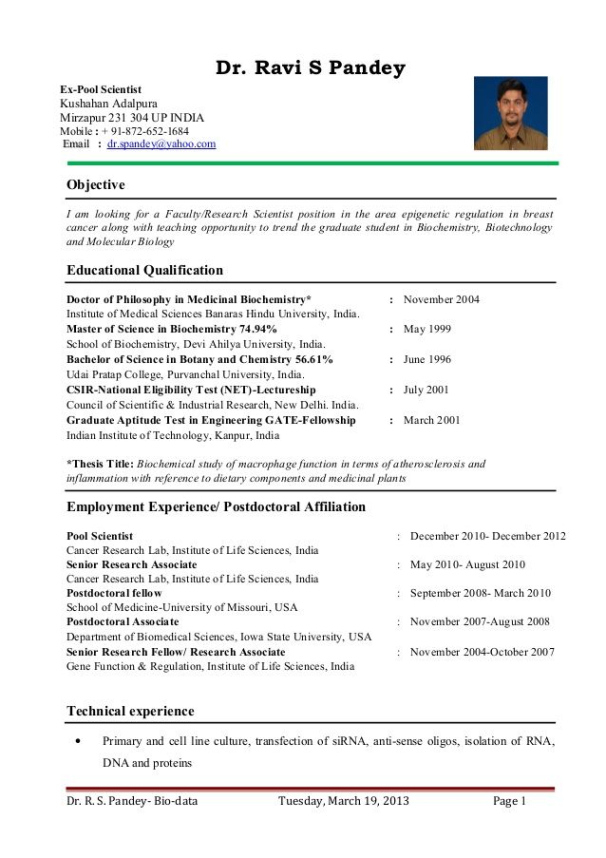 Blank Assistant Professor Fresher Resume Template  Sample