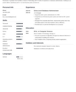 Blank Entry Level Technical Support Resume Template Word