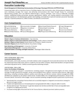 Blank Executive Director Resume Template Excel