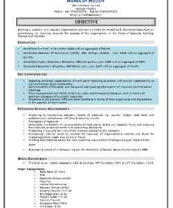 Blank Fresher Accountant Resume Template Excel