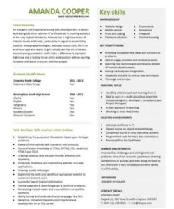 Blank Premium Web Developer Resume Template Word