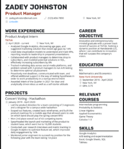 Blank Senior Product Manager Resume Template Pdf Sample