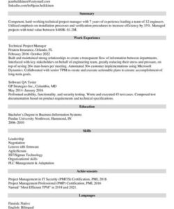 Blank Technical Project Manager Resume Template