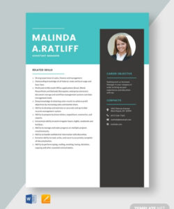 Custom Assistant Manager Resume Template Excel Sample