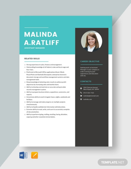 Custom Assistant Manager Resume Template Excel Sample