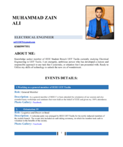 Custom Electrical Engineer Portfolio Template Excel