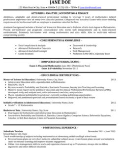 Custom Entry Level Accounting Resume Template