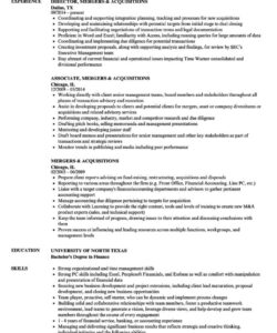 Custom Mergers And Inquisitions Resume Template  Sample