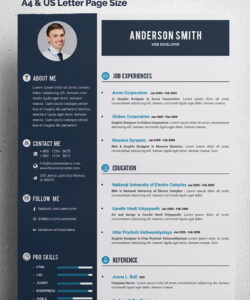 Custom Premium Web Developer Resume Template