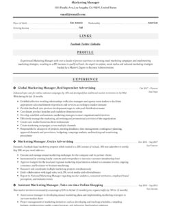 Custom Senior Marketing Manager Resume Template