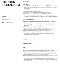 Custom Senior Product Manager Resume Template Excel Sample