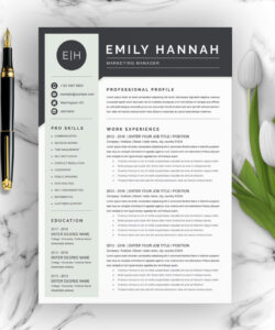 Editable Executive Director Resume Template Word