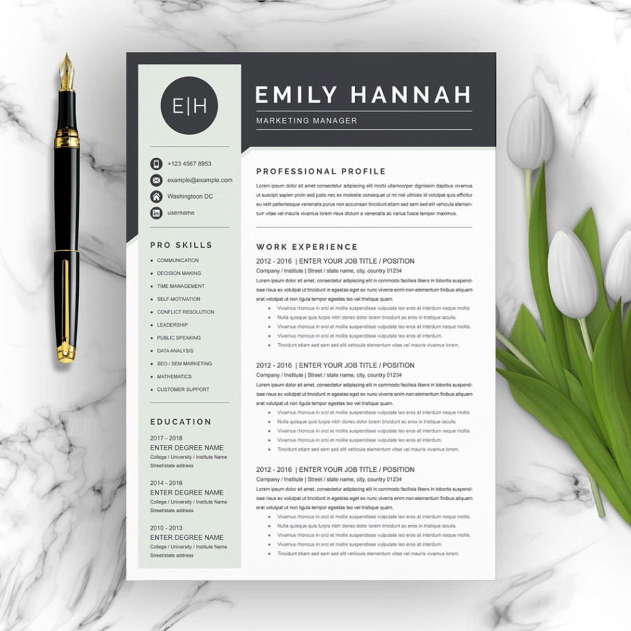 Editable Executive Director Resume Template Word