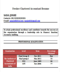 Editable Fresher Accountant Resume Template Doc Sample