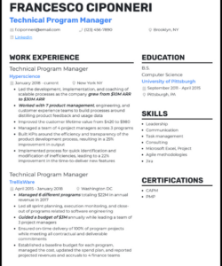 Editable Technical Program Manager Resume Template