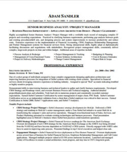 Editable Technical Project Manager Resume Template