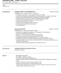 Free  Art Director Resume Template Word Sample