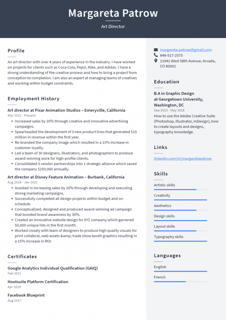 Free Blank Art Director Resume Template  Sample