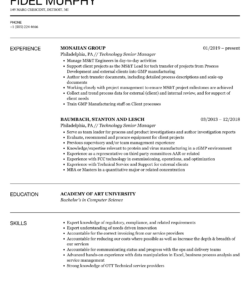 Free Blank Senior Manager Resume Template Excel Sample