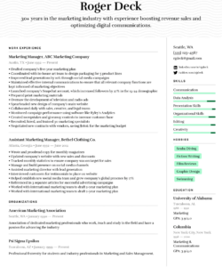 Free Blank Senior Marketing Manager Resume Template