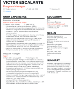 Free Blank Technical Program Manager Resume Template  Sample