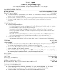 Free Blank Technical Project Manager Resume Template Pdf