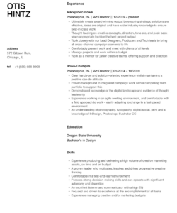 Free Custom Art Director Resume Template  Sample