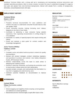 Free Custom Technical Writer Resume Template