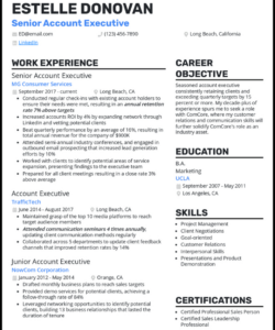 Free Editable Senior Executive Resume Template  Sample