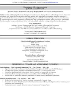 Free  Junior Accountant Resume Template Word Sample