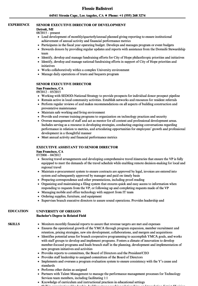 Free Printable Senior Executive Resume Template Pdf Sample