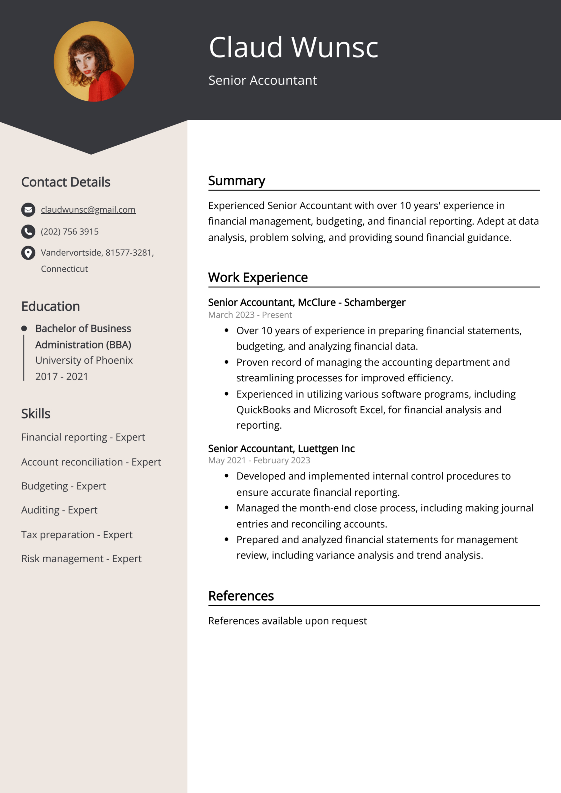 Free  Senior Accountant Resume Template Doc