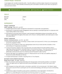 Free  Senior Manager Resume Template Pdf Sample