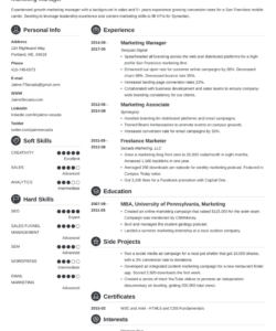 Free  Senior Marketing Manager Resume Template Doc