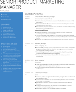 Free  Senior Product Manager Resume Template Doc