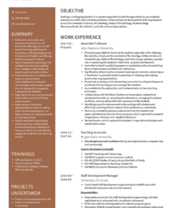 Printable Assistant Professor Fresher Resume Template Excel