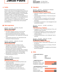 Senior Accountant Resume Template Excel