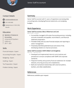 Staff Accountant Resume Template  Sample