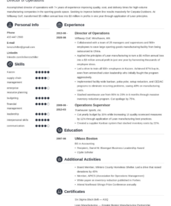 Custom Director Of Operations Resume Template Excel