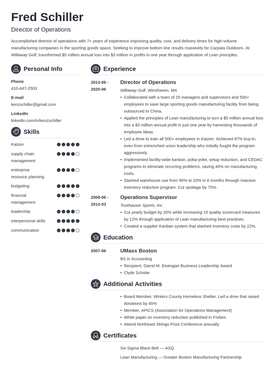 Custom Director Of Operations Resume Template Excel