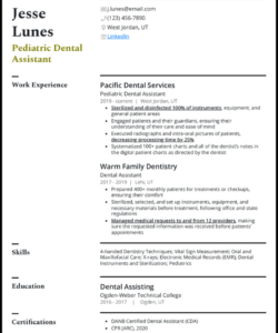 Custom Entry Level Dental Assistant Resume Template Pdf Sample