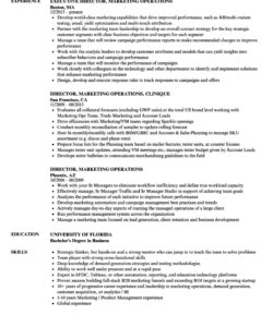 Director Of Operations Resume Template Excel